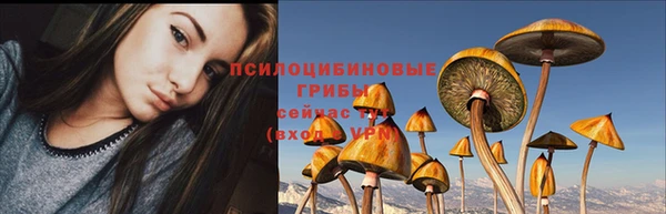 гашишное масло Богородск