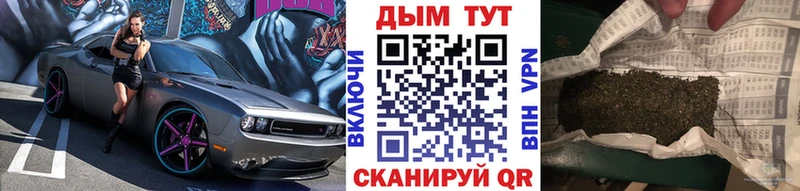 где можно купить наркотик  Городовиковск  Конопля индика 